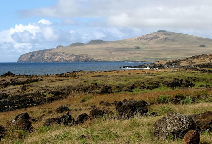 Easter Island's grasses